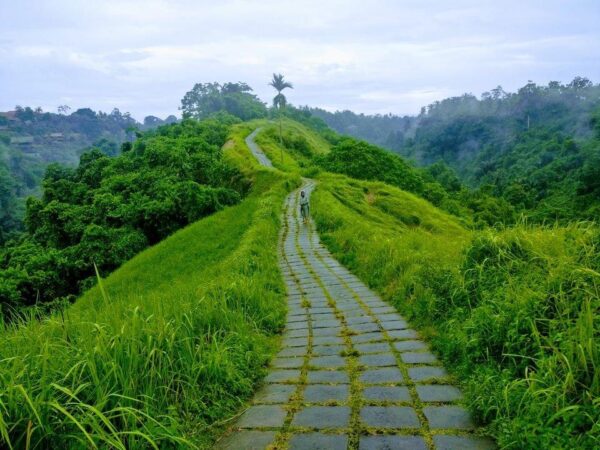 ridgewalk7 ridgewalk7