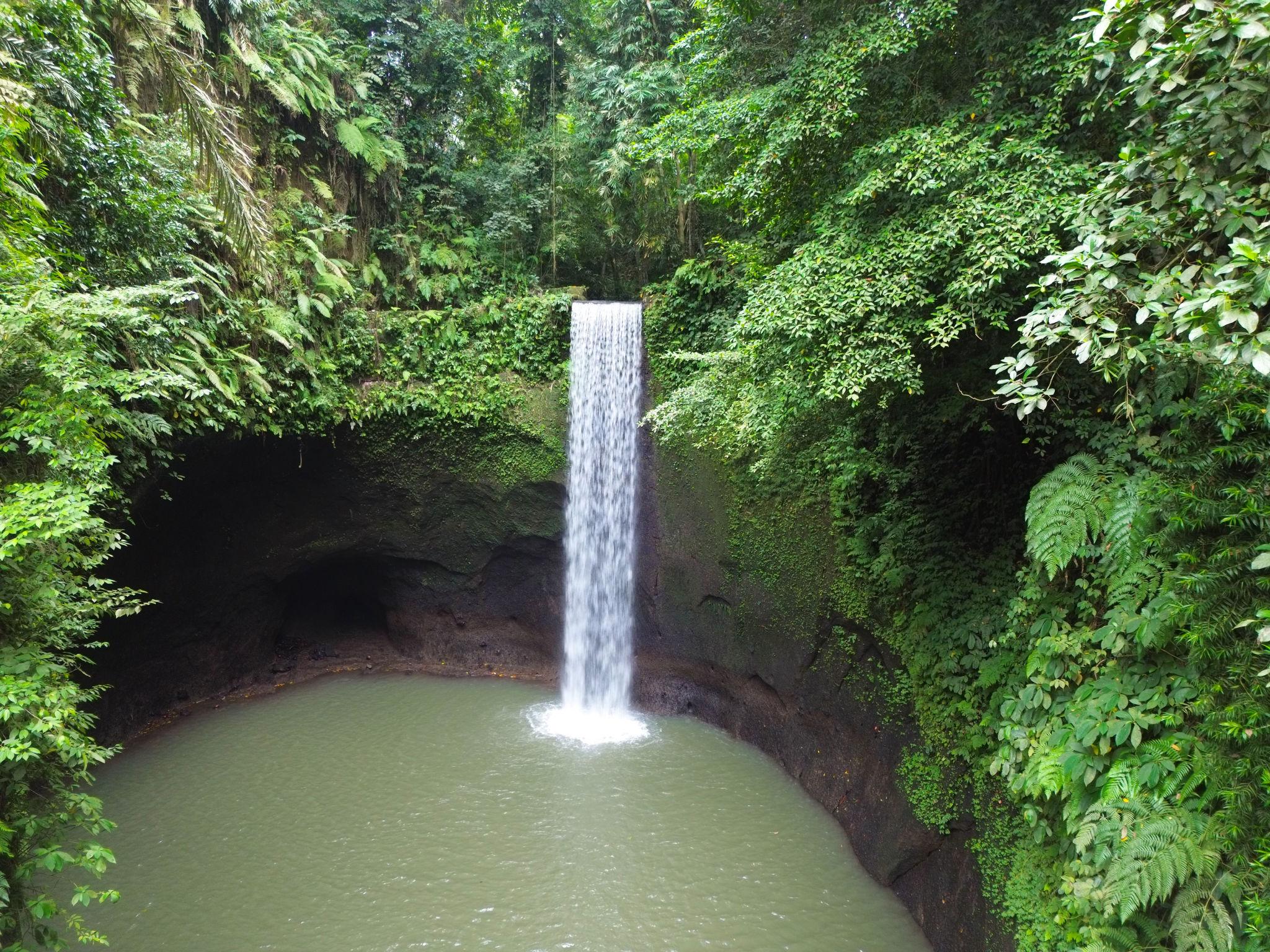 tibumana3